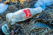 04 - Coke on Ice