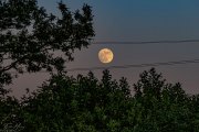 19 -Vollmond über dem Güterbahnhof Höchst