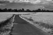 Feldweg in Liederbach
