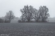 Landschaft im Nebel