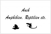 Amphibien & Reptilien