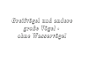 Greifvögel - Text