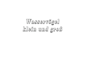 Wasservögel- Text