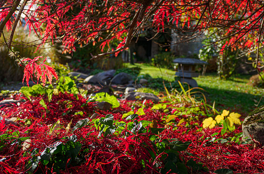 Gartenarbeit im Herbst