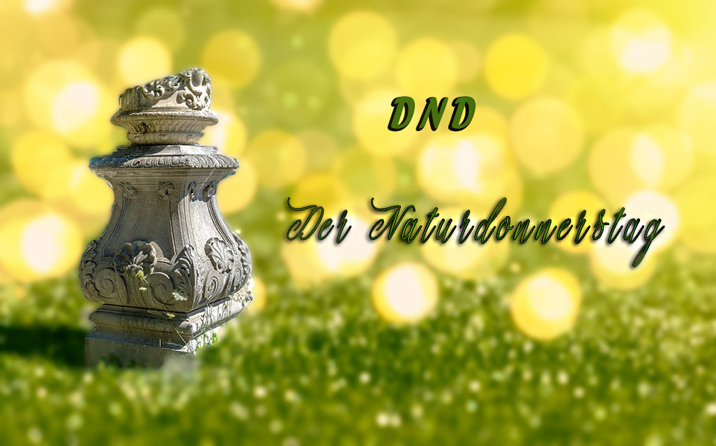 DND – Auf die Plätze – fertig – Sommer!