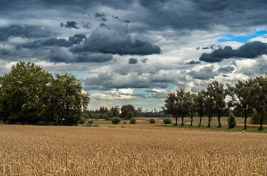 Kleiner Abendgruß aus Okriftel