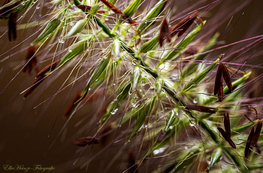 Es riecht nach Herbst . . .