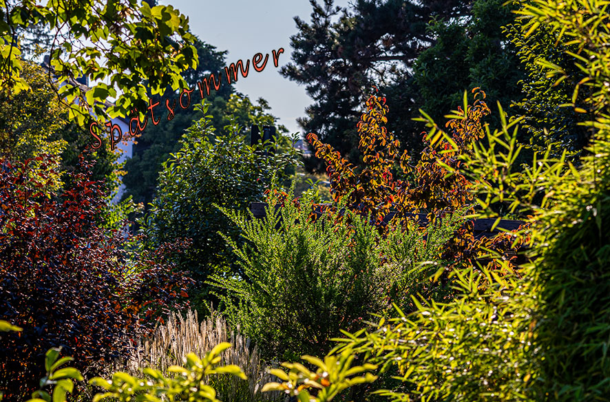 Freitagnachmittag im Garten