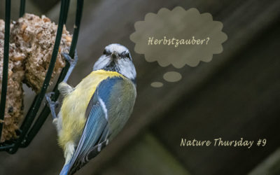 Nature Thursday #9