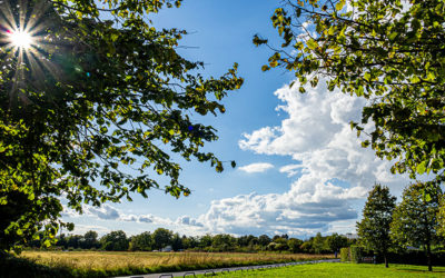 Nidda: Himmlisches & Spiegelung