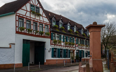Pfützenspiegelung & Spaziergangsmitbringsel