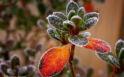 Kurzer Wochenendgruß