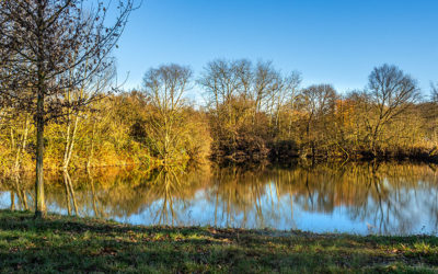Traumwetterchen an der Nidda
