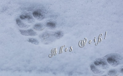 Winterwunderland