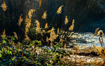 Glimmer & Glitzer an der Nidda