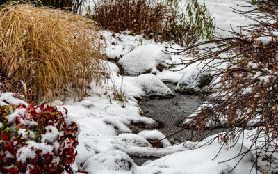 WWW – Wechselhaftes WinterWetter