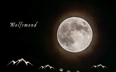 Wolfsmond am Himmel
