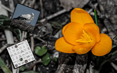 Bingo & ein trüber Samstag