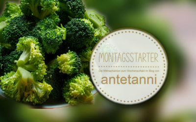 Montagsstarter 07/2025