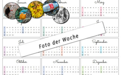 Foto der Woche 07 / 2025