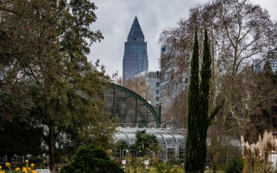 Frankfurt im Regen