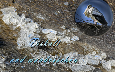 Der Wettergott hat mich erhört