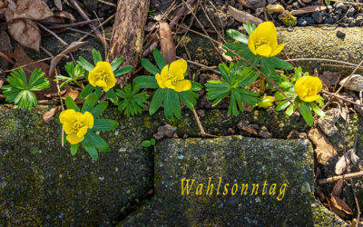Wunderbares Wetter! – Ein gutes Omen?