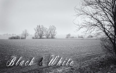 Black & White 2025 – Februar 2025