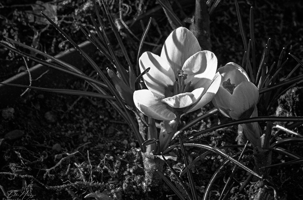 Unterwegs für Black & White