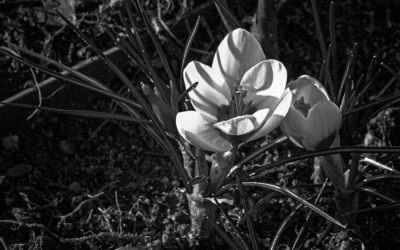 Unterwegs für Black & White