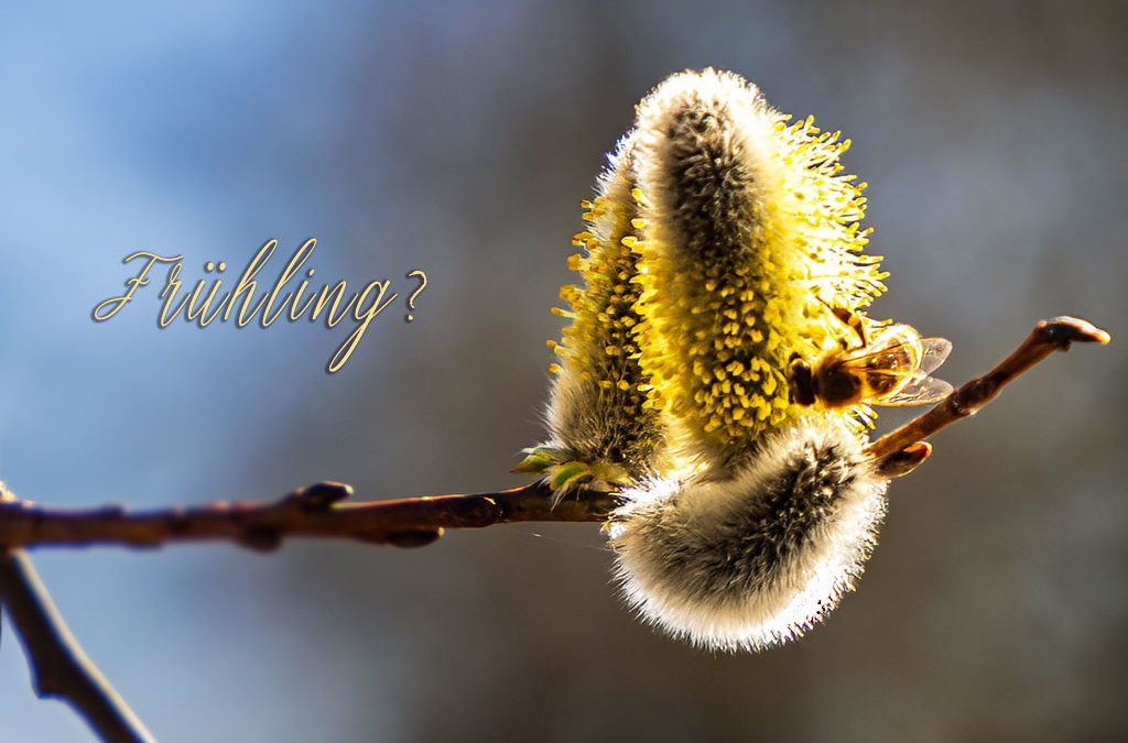 Es fühlt sich fast nach Frühling an