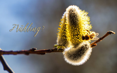 Es fühlt sich fast nach Frühling an