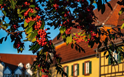 Spontaner Abendspaziergang in Farbe und S/W