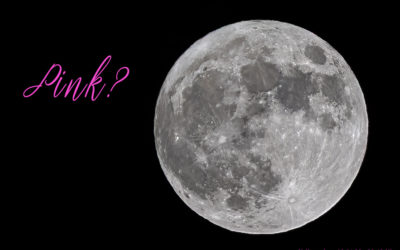 Pink Moon – Vollmond am 13. April 2025