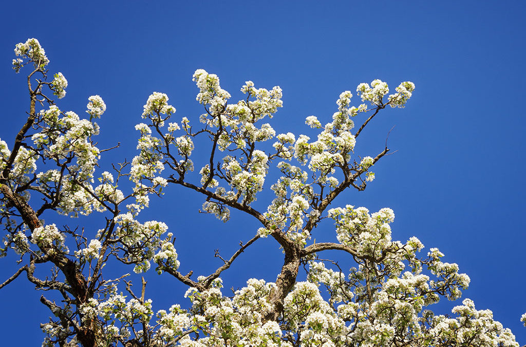 „Nur Natur“#3 – immer am Donnerstag
