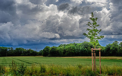 Mächtig was los am Himmel – gut so!