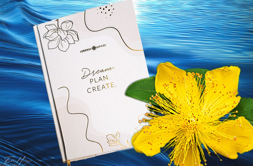 Luftfeuchtigkeit > 100% ? / Neues Bullet Journal