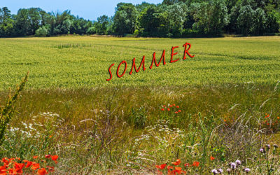 Summertime mit 12tel Blick & Foto der Woche