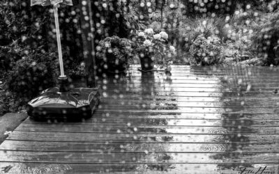 Gewitter, Kreislauf & das OPaDiBaW #5