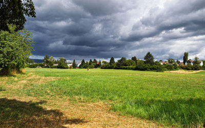 Regendusche, aber schöne Bilder aus dem Skulpturenpark
