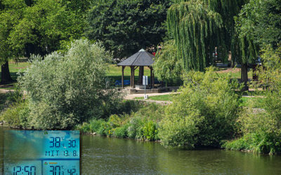 38°C – das ist echt heftig, Leute!