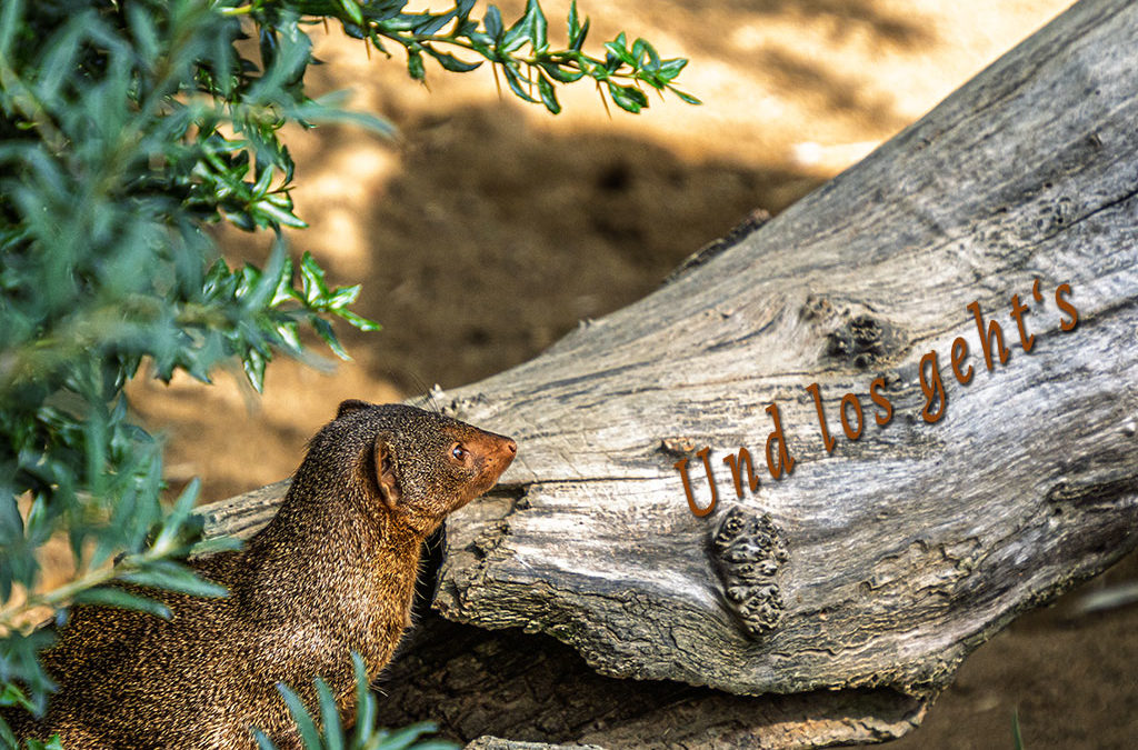 „Nur Natur“#22 – immer am Donnerstag