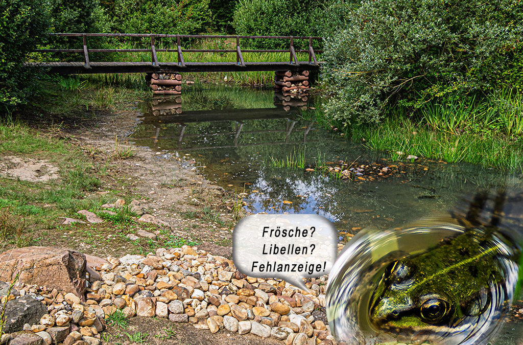 Es dümpelt der Tümpel so vor sich hin