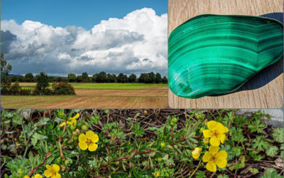 Ein Stein für Elfi & Wolken für Heidi