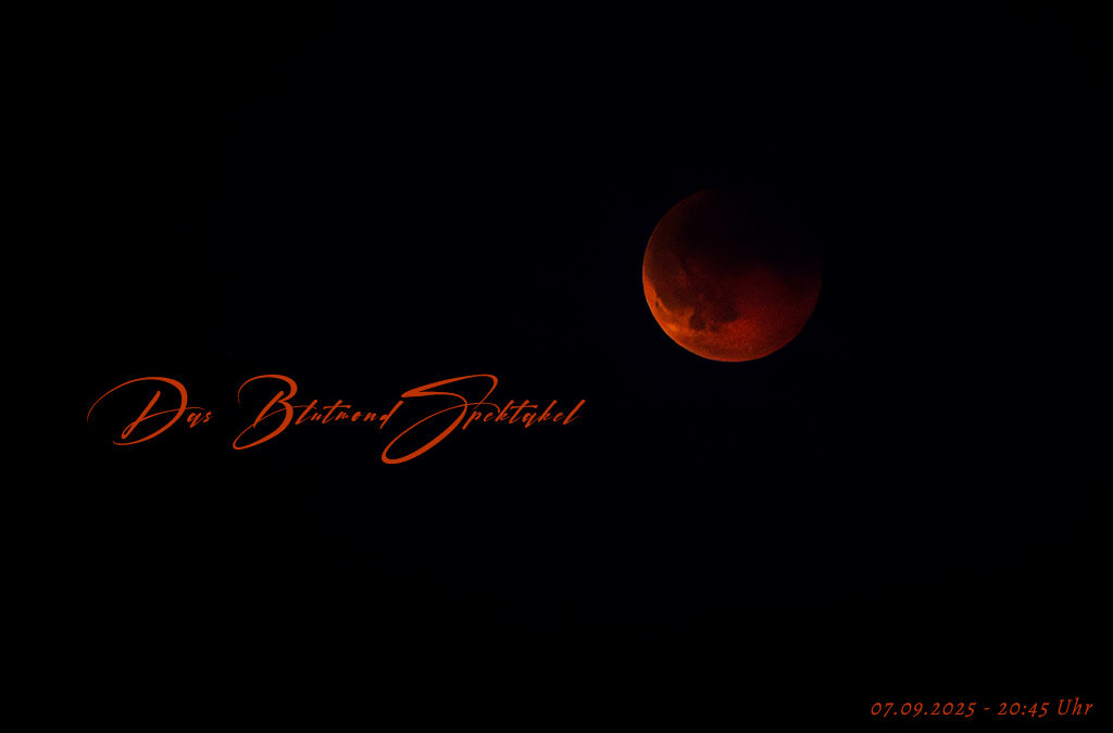 Blutmond – wenig Ausbeute, aber lustig war’s