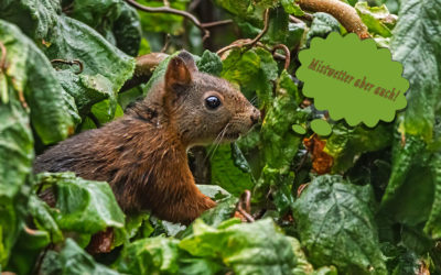 Uhhh – Dauerregen! Gar nicht schön :-(
