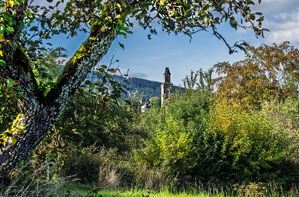 Noch einmal Kronberg
