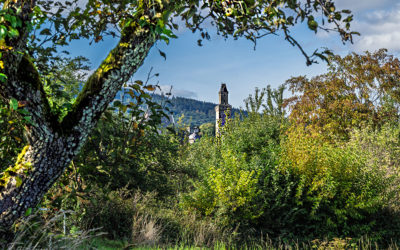 Noch einmal Kronberg