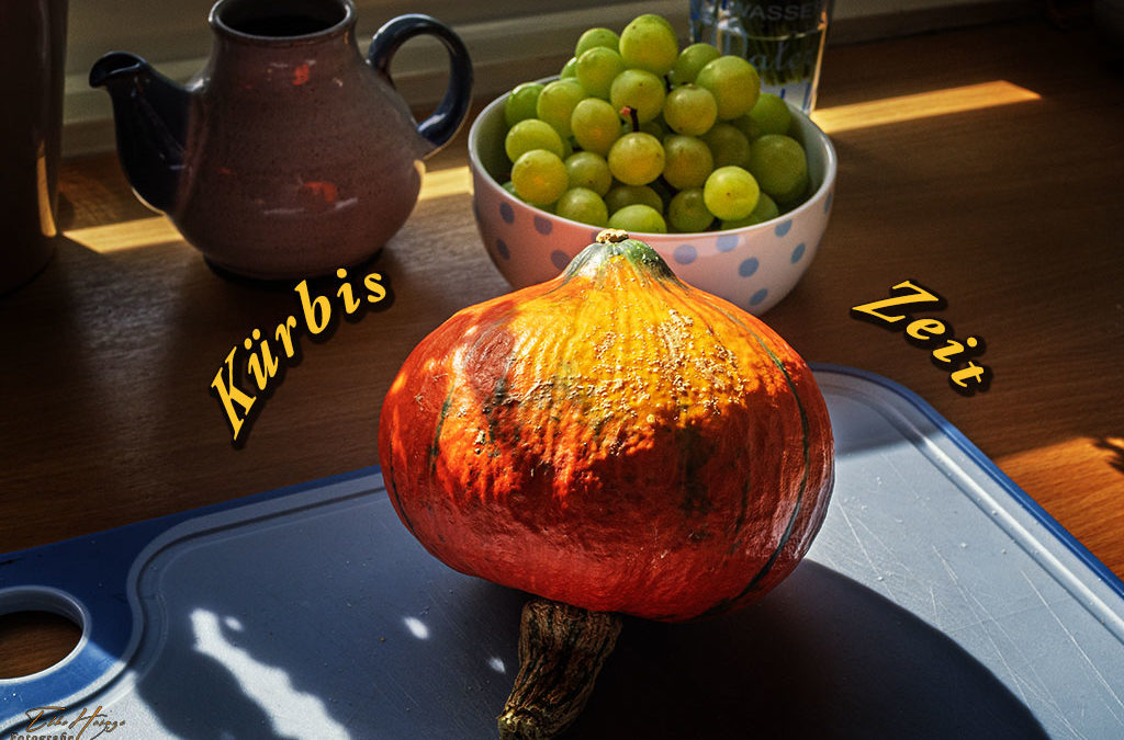 Wenn sich Spätsommer & Frühherbst vereinen . . .
