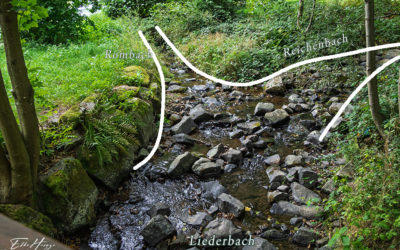 „Nur Natur“#24 – immer am Donnerstag